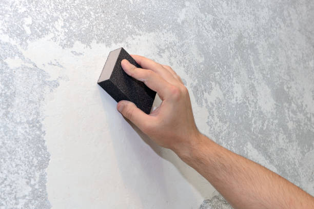 Best Mold Documentation for Insurance Claims  in Lucerne, CA
