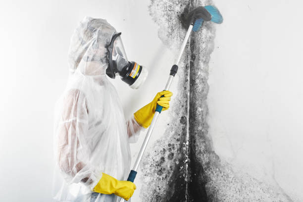 Best Post-Remediation Verification Testing  in Lucerne, CA