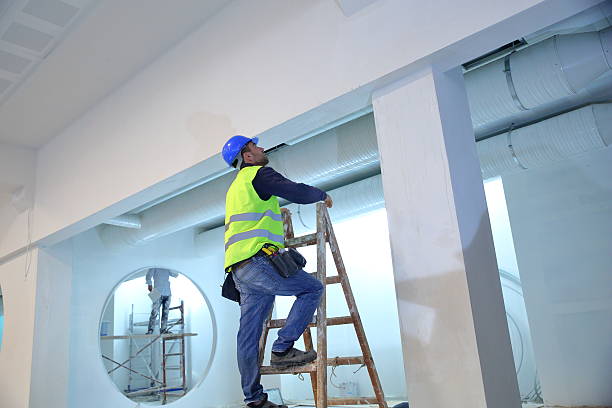 Best Mold Prevention Services  in Lucerne, CA